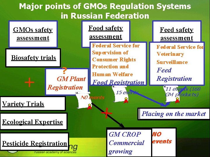 Major points of GMOs Regulation Systems in Russian Federation Food safety assessment GMOs safety