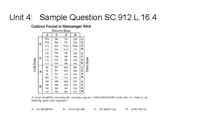 Unit 4: Sample Question SC. 912. L. 16. 4 