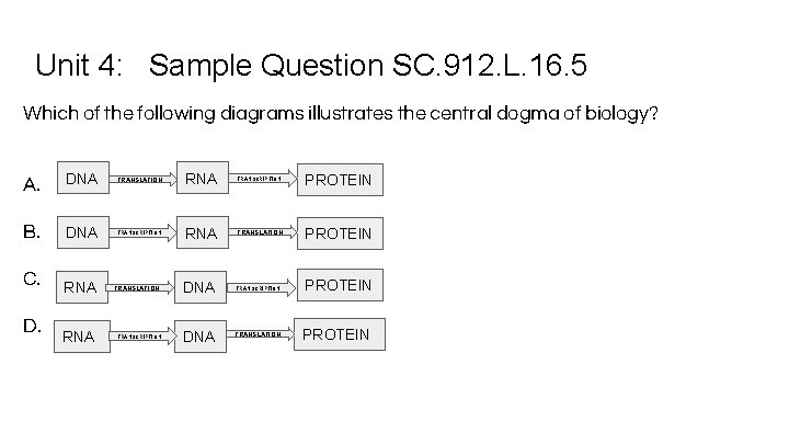 Unit 4: Sample Question SC. 912. L. 16. 5 Which of the following diagrams