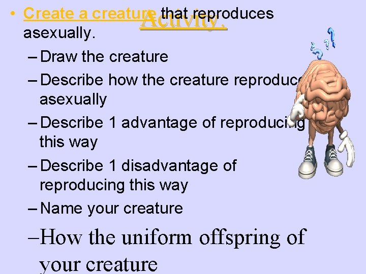  • Create a creature that reproduces Activity: asexually. – Draw the creature –