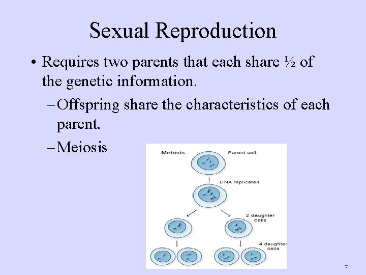 Sexual Reproduction • Requires two parents that each share ½ of the genetic information.