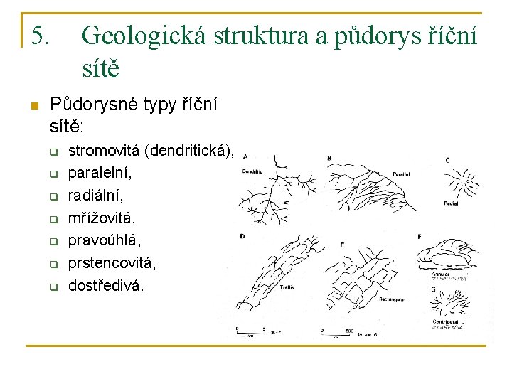 5. n Geologická struktura a půdorys říční sítě Půdorysné typy říční sítě: q q