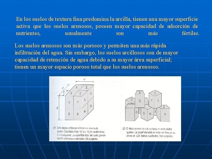 En los suelos de textura fina predomina la arcilla, tienen una mayor superficie activa