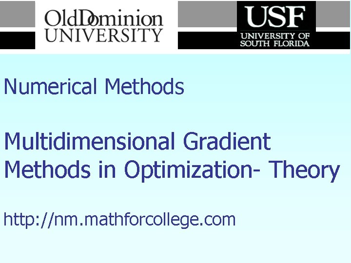 Numerical Methods Multidimensional Gradient Methods in Optimization- Theory http: //nm. mathforcollege. com 