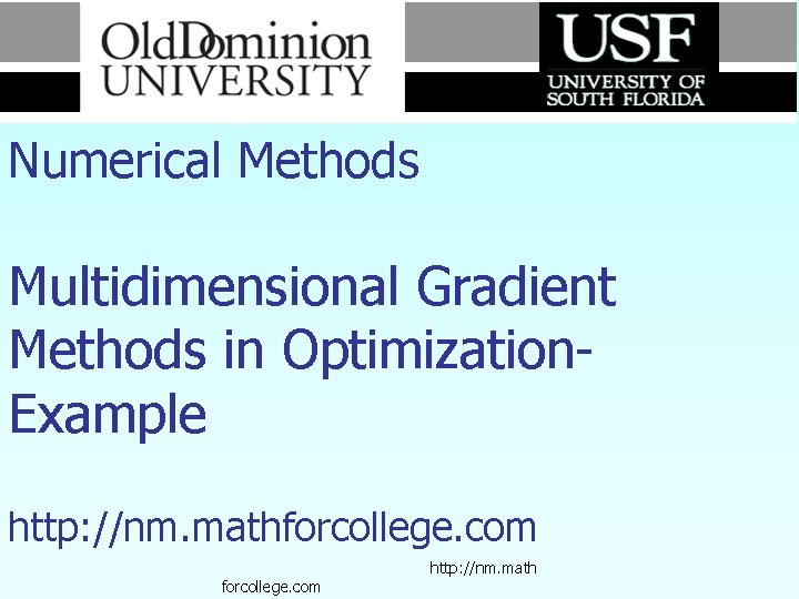 Numerical Methods Multidimensional Gradient Methods in Optimization. Example http: //nm. mathforcollege. com http: //nm.