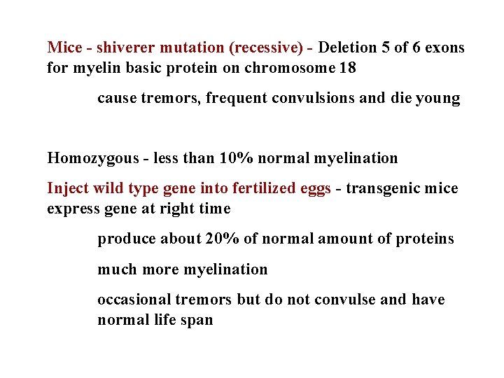 Mice - shiverer mutation (recessive) - Deletion 5 of 6 exons for myelin basic