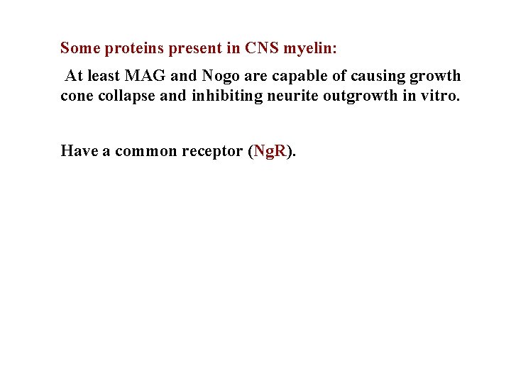 Some proteins present in CNS myelin: At least MAG and Nogo are capable of