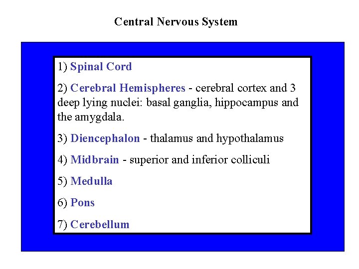 Central Nervous System 1) Spinal Cord 2) Cerebral Hemispheres - cerebral cortex and 3