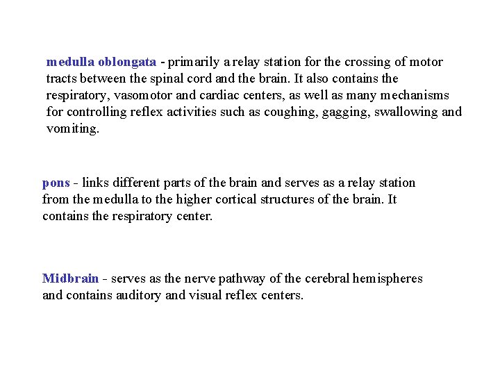 medulla oblongata - primarily a relay station for the crossing of motor tracts between