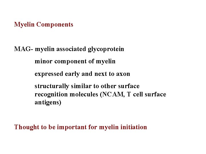 Myelin Components MAG- myelin associated glycoprotein minor component of myelin expressed early and next