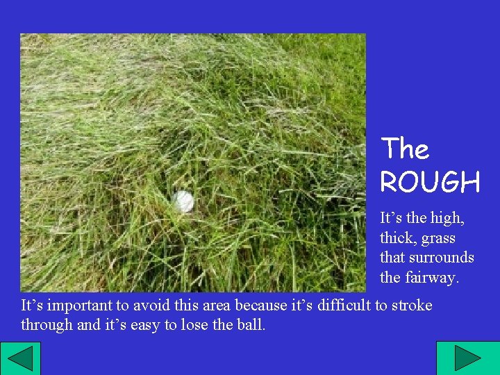 The ROUGH It’s the high, thick, grass that surrounds the fairway. It’s important to