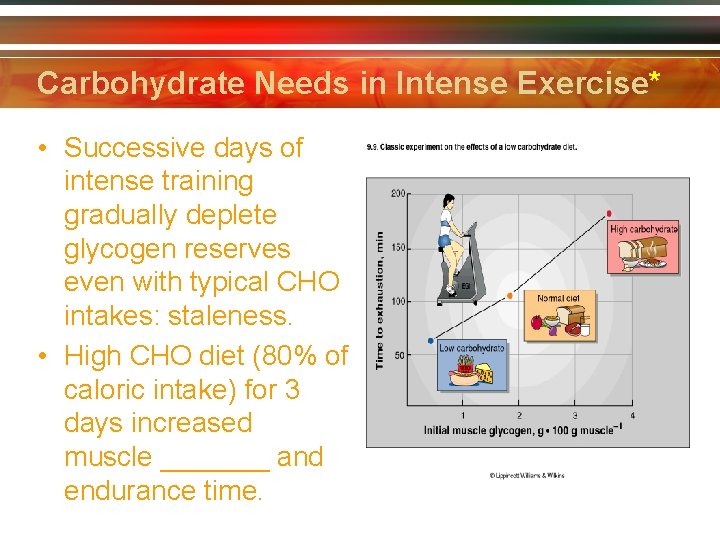 Carbohydrate Needs in Intense Exercise* • Successive days of intense training gradually deplete glycogen