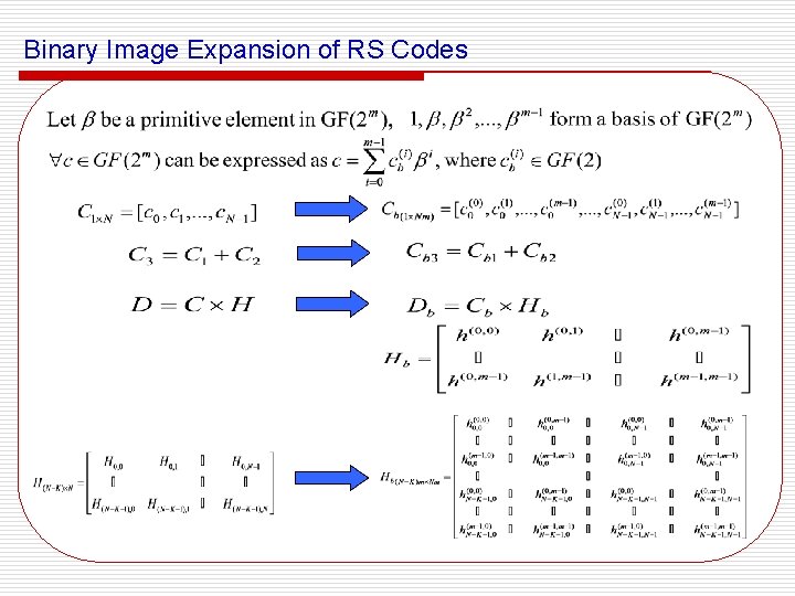 Binary Image Expansion of RS Codes 