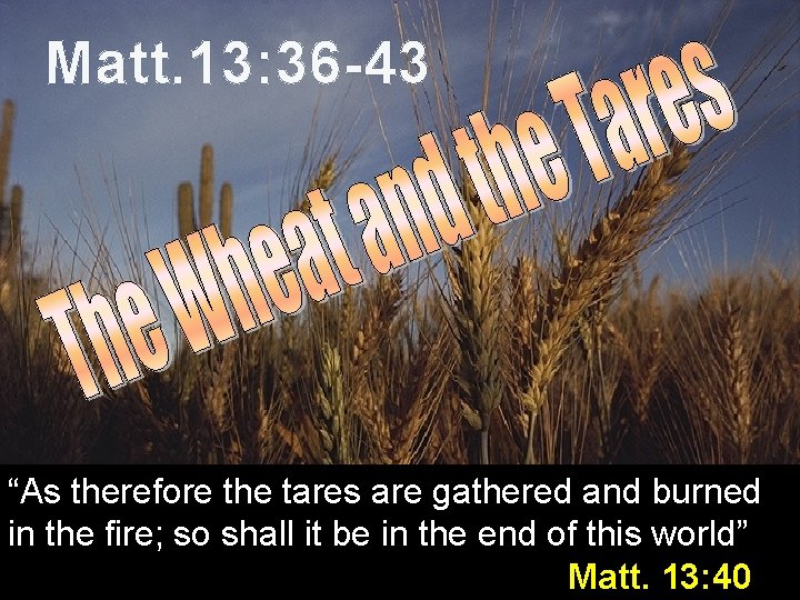 Matt. 13: 36 -43 “As therefore the tares are gathered and burned in the
