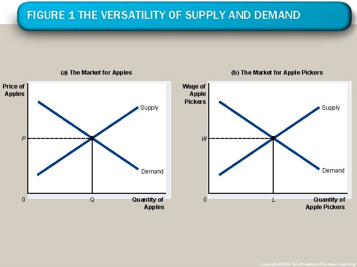 FIGURE 1 THE VERSATILITY OF SUPPLY AND DEMAND (a) The Market for Apples (b)