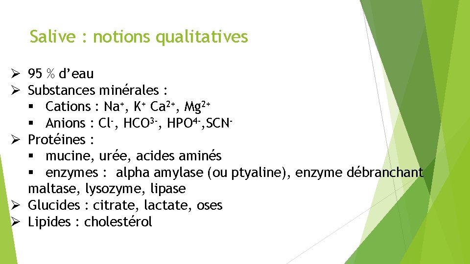 Salive : notions qualitatives Ø 95 % d’eau Ø Substances minérales : § Cations
