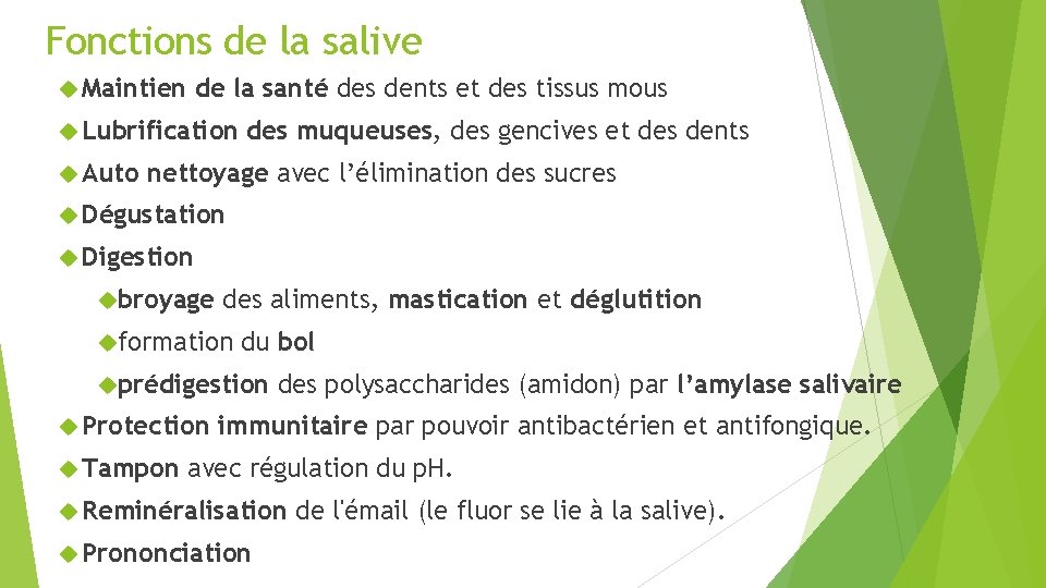 Fonctions de la salive Maintien de la santé des dents et des tissus mous