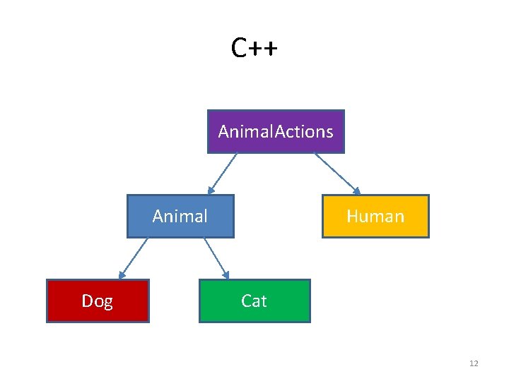 C++ Animal. Actions Animal Dog Human Cat 12 