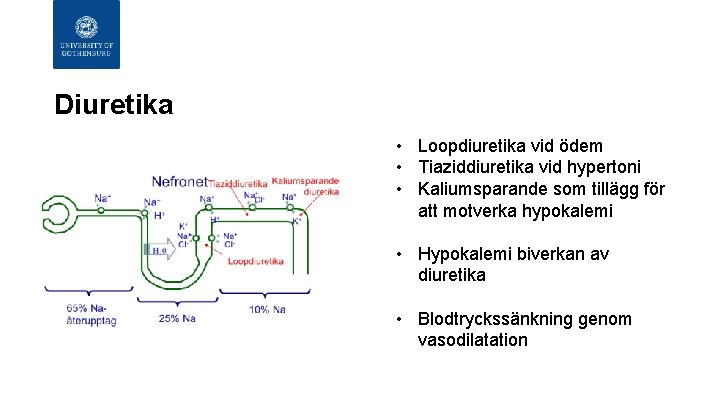 Diuretika • Loopdiuretika vid ödem • Tiaziddiuretika vid hypertoni • Kaliumsparande som tillägg för