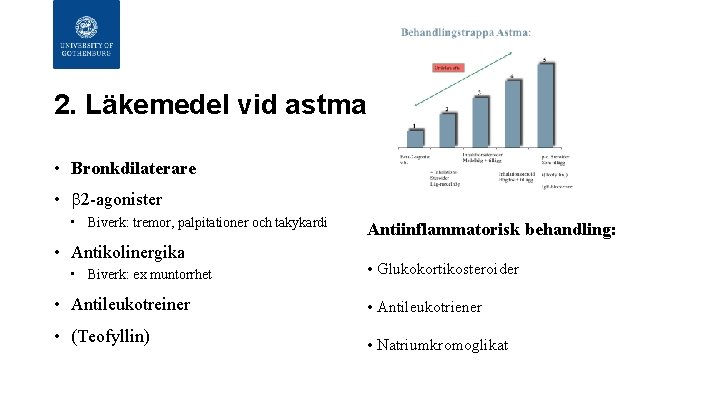 2. Läkemedel vid astma • Bronkdilaterare • b 2 -agonister • Biverk: tremor, palpitationer