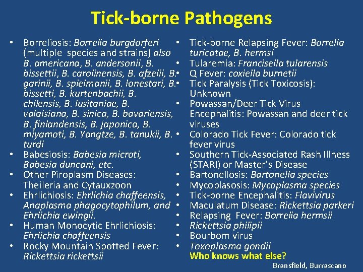Tick-borne Pathogens • Borreliosis: Borrelia burgdorferi • (multiple species and strains) also B. americana,