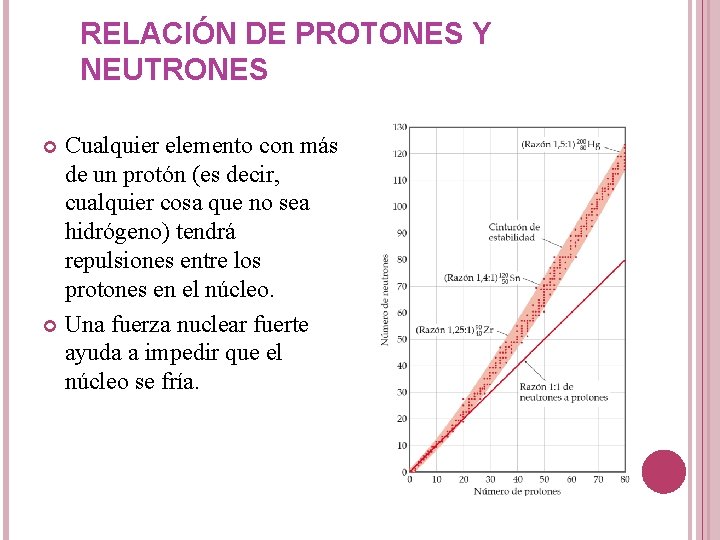 RELACIÓN DE PROTONES Y NEUTRONES Cualquier elemento con más de un protón (es decir,