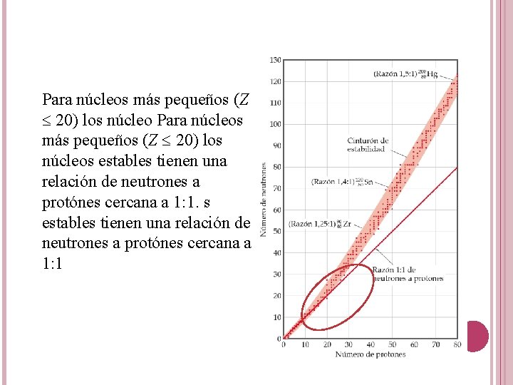 Para núcleos más pequeños (Z 20) los núcleos estables tienen una relación de neutrones