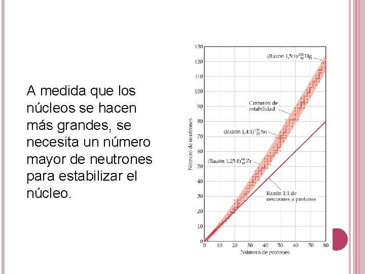 A medida que los núcleos se hacen más grandes, se necesita un número mayor