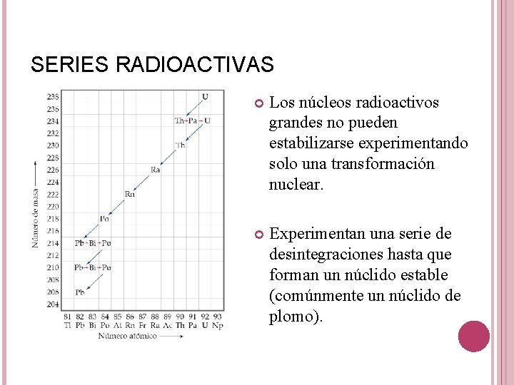SERIES RADIOACTIVAS Los núcleos radioactivos grandes no pueden estabilizarse experimentando solo una transformación nuclear.