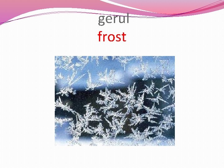  gerul frost 
