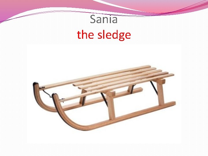 Sania the sledge 