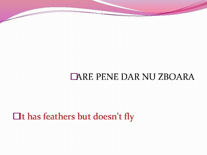 �ARE PENE DAR NU ZBOARA �It has feathers but doesn’t fly 