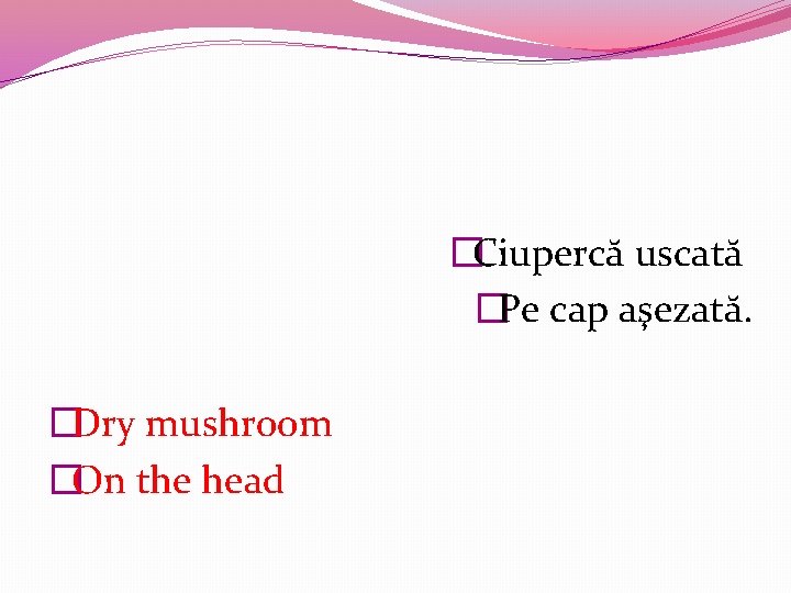 �Ciupercă uscată �Pe cap aşezată. �Dry mushroom �On the head 