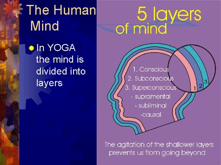 The Human Mind ® In YOGA the mind is divided into layers 