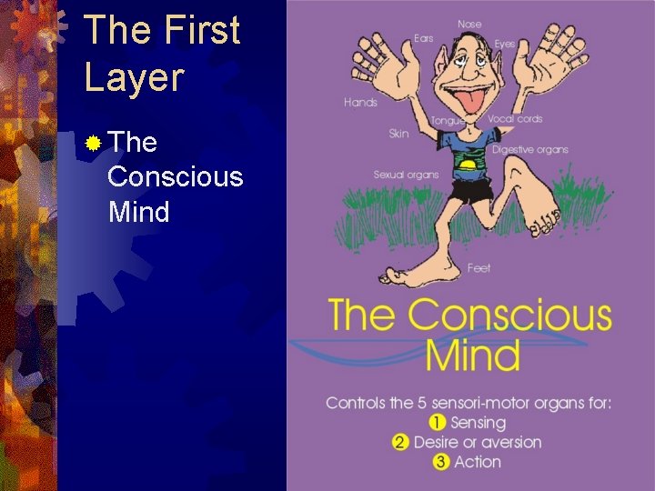 The First Layer ® The Conscious Mind 