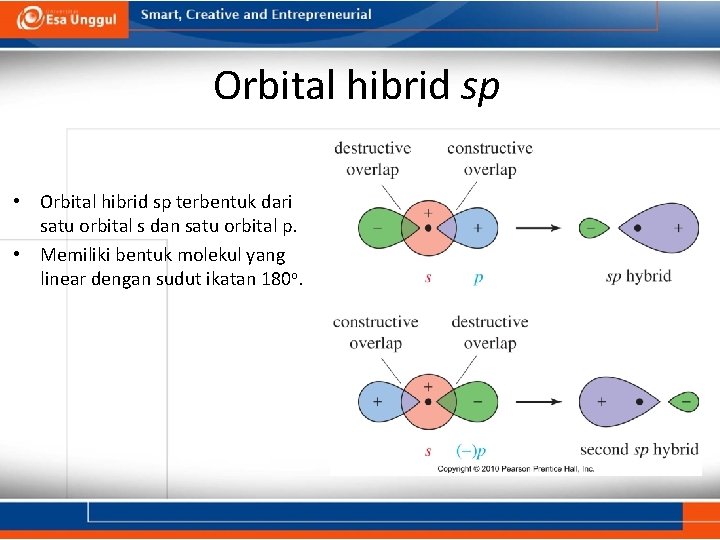Orbital hibrid sp • Orbital hibrid sp terbentuk dari satu orbital s dan satu