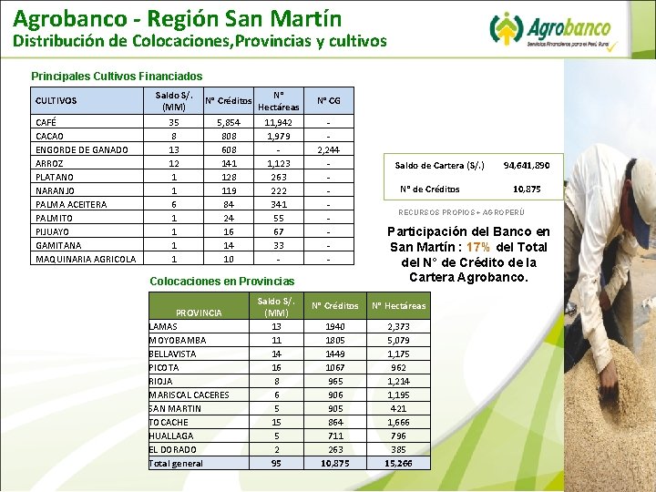 Agrobanco - Región San Martín Distribución de Colocaciones, Provincias y cultivos Principales Cultivos Financiados