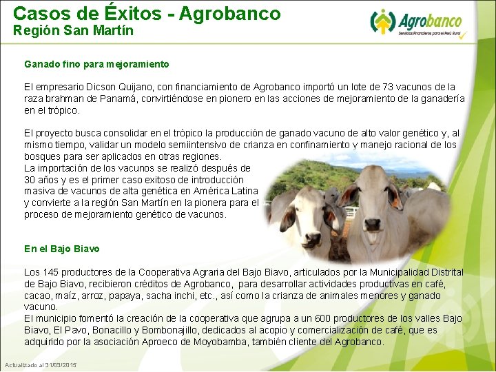 Casos de Éxitos - Agrobanco Región San Martín Ganado fino para mejoramiento El empresario