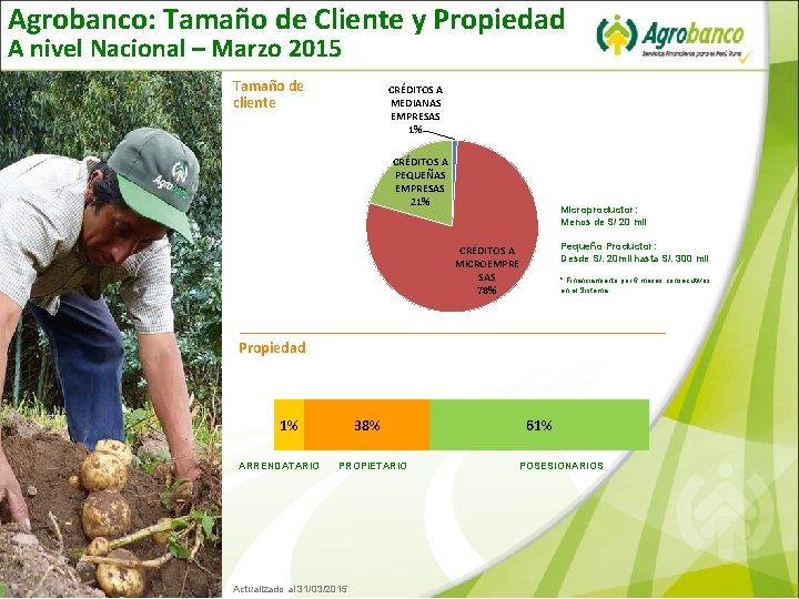 Agrobanco: Tamaño de Cliente y Propiedad A nivel Nacional – Marzo 2015 Tamaño de