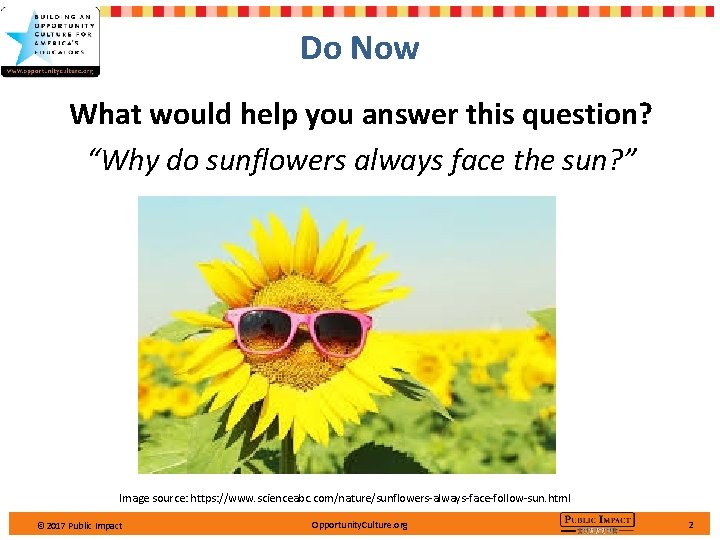 Do Now What would help you answer this question? “Why do sunflowers always face