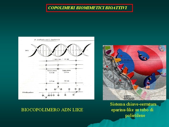 COPOLIMERI BIOMIMETICI BIOATTIVI BIOCOPOLIMERO ADN LIKE Sistema chiave-serratura eparina-like su tubo di polietilene 