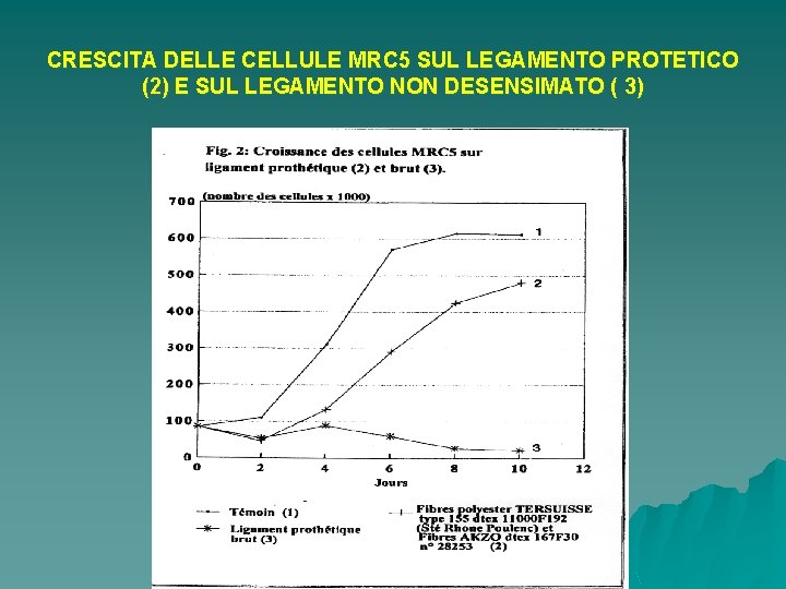 CRESCITA DELLE CELLULE MRC 5 SUL LEGAMENTO PROTETICO (2) E SUL LEGAMENTO NON DESENSIMATO