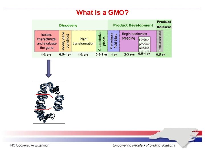 What is a GMO? 