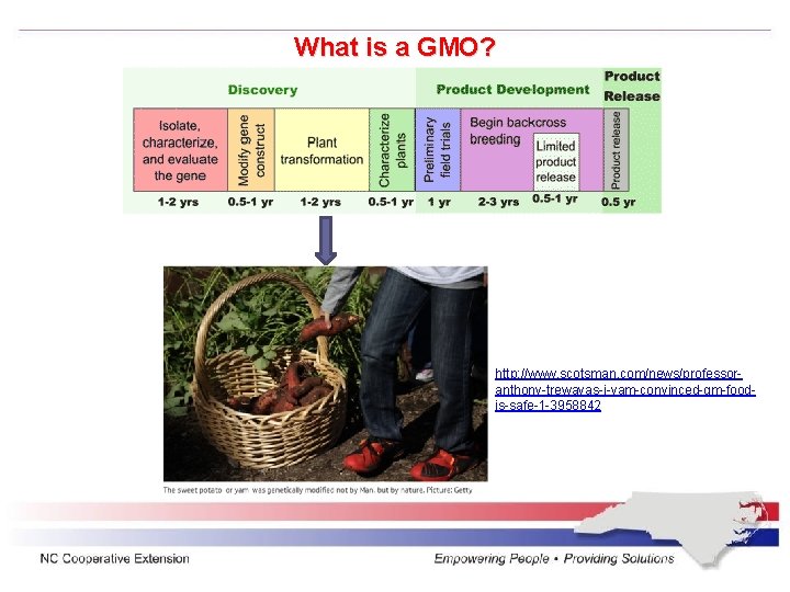 What is a GMO? http: //www. scotsman. com/news/professoranthony-trewavas-i-yam-convinced-gm-foodis-safe-1 -3958842 