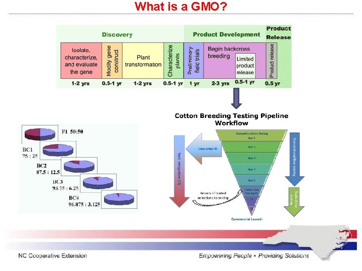 What is a GMO? 