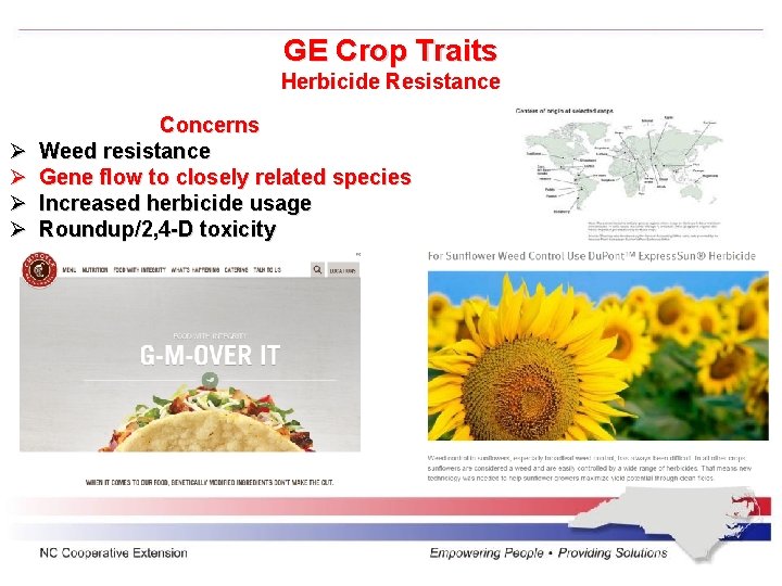 GE Crop Traits Herbicide Resistance Ø Ø Concerns Weed resistance Gene flow to closely