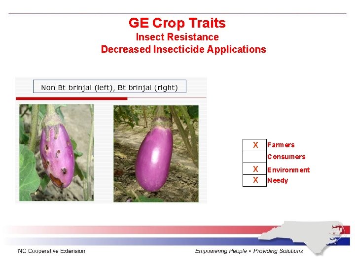 GE Crop Traits Insect Resistance Decreased Insecticide Applications X Farmers Consumers X X Environment
