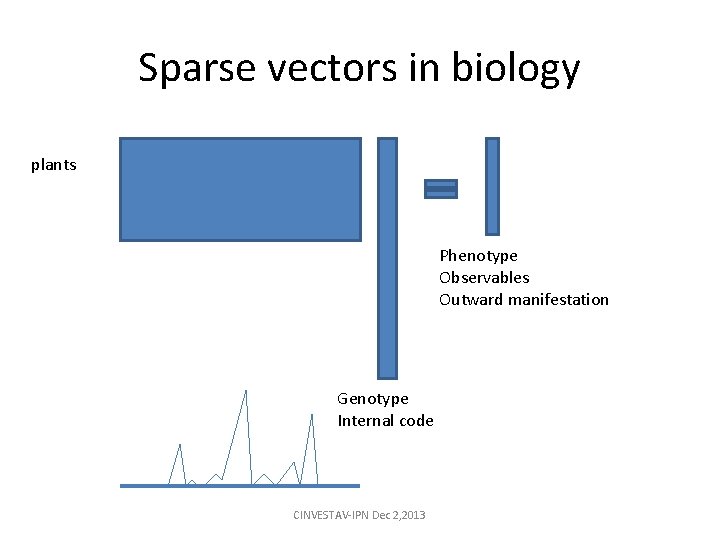 Sparse vectors in biology plants Phenotype Observables Outward manifestation Genotype Internal code CINVESTAV-IPN Dec Sparse vectors in biology plants Phenotype Observables Outward manifestation Genotype Internal code CINVESTAV-IPN Dec