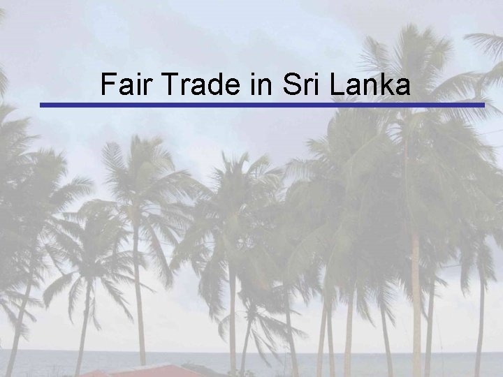 Fair Trade in Sri Lanka 