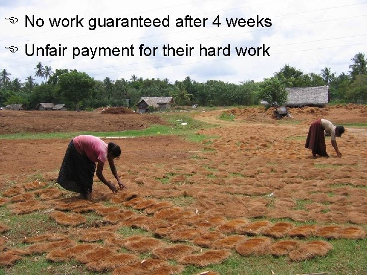  No work guaranteed after 4 weeks Unfair payment for their hard work 